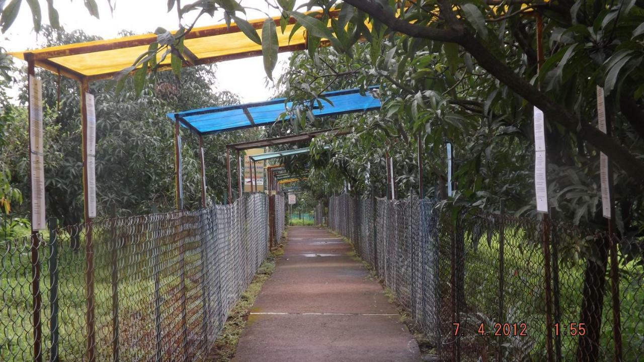 Dirghayu Farms Agri Resort Pvt Ltd Atgaon Exterior foto